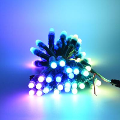 China WS2811 1903 RGB LED String Light 12V Full Color Led Light Waterproof Accessible Digital Bright 12mm Contemporary High Pixel Individually for sale