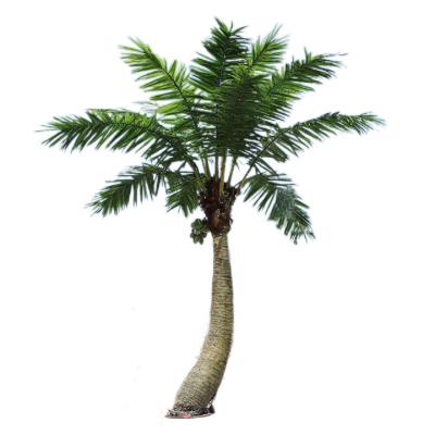 China Plastic Outdoor Simulation Coconut Tree Indoor Decoration FRP Tree Water Park Mall Algae Tree Palm Large for sale