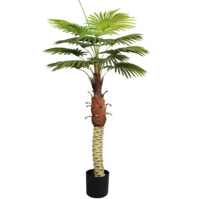 China Wholesale Artificial Green Plant Plastic Pot Home Decor Hotel Sunflower Palm Tree Sunflower Fan Green Plant Simulation Bonsai for sale