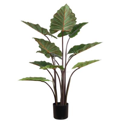 China Green Plant Rainbow Taro Leaf Tree Large Web Plant Decoration Red Plastic Ground Pot Plastic Simulation for sale