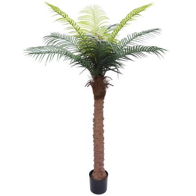 China Plastic Fake Simulation Coconut Tree Plant Landscaping Ornaments Green Plants Palm Bonsai Decoration Needle Sunflower Indoor Large Pot for sale