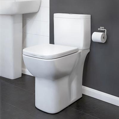 China Chinese Custom Ceramic Two Piece Floor Trap RAFFO Cistern Hidden Public Handicapped Toilet Wc P for sale