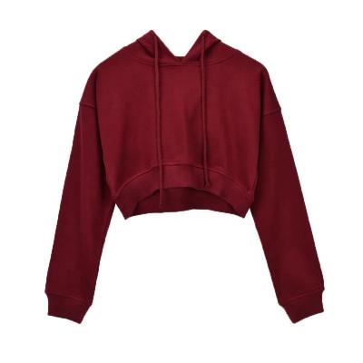 China Anti-Wrinkle Fashion Sweater Women Crop Top Cotton Sweatshirt Loose Ladies Hoodie for sale