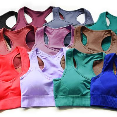 China Wholesale Sustainable Yoga Bra Women Running Seamless Knitted Sports Bra Shockproof Tops Running Fitness Yoga Sports Bra Women Quick Dry for sale