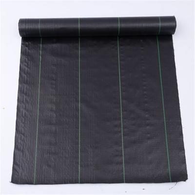 China 100% pp material agricultural plastic woven ground cover 100%PP weed control mat cloth telo pacciamatura landscape fabric for sale