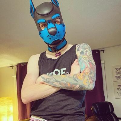 China Soft and stretchy. It is very comfortable and light to wear Apply to Props Dog Head Neoprene Sponge Headgear Fetish Puppy Game Puppy Hoods Cosplay Fetish-Mask Supplier for sale