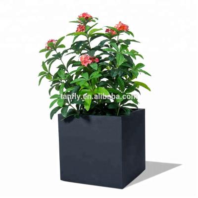 China Modern Indoor Wholesale Small Flower Pot With Canister Vase Decor For Home Wedding Party for sale