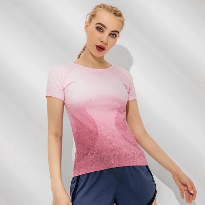 China QUICK DRY Ombre Sports Tops Fitness Shorts Seamless Sleeve Sports Running Women's T-Shirts Workout Yoga Top for sale