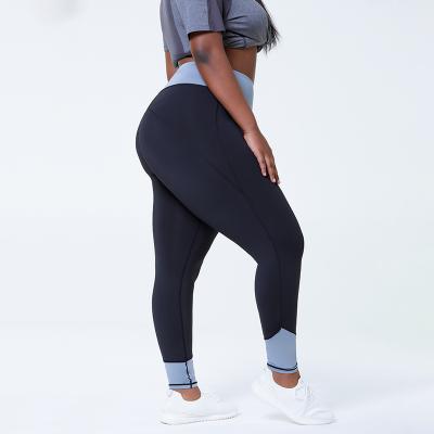 China 2022 Women's Sustainable Yoga Plus Size Pants Butt Crac! crack! Elastic Lift Leggings Women Pants High Fat for sale