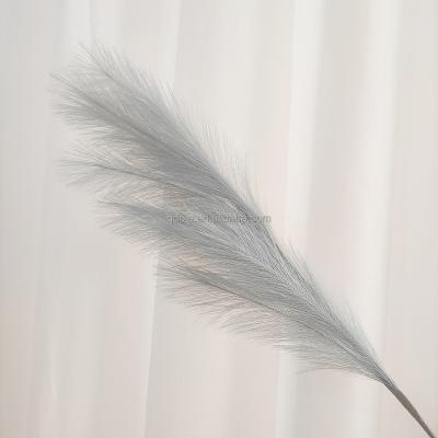 China Most popular decoration 90cm pampas grass flower small events natural dry colorful pampas grass real dry for wedding home decoration for sale