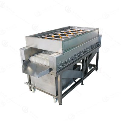 China Automatic Date Orange Lemon Potato Cassava Lemon Brush Roller Jet Cleaning Machine for sale