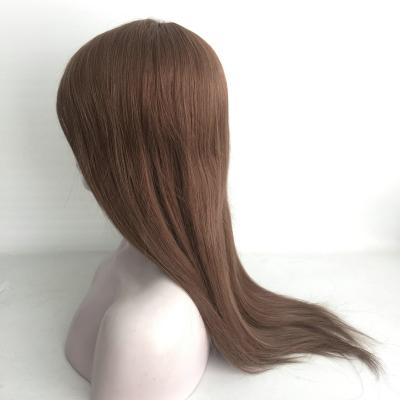 China Silky Straight Wave 18 Inch Color 6 Hair Full Lace Wig With Fast Delivery for sale