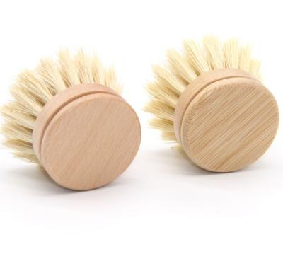 China Sustainable Sisal Bristle Fills Agave Cactus Fiber Kitchen Eco Scrubber Replacement Brush Heads For Bamboo Dish Brush for sale