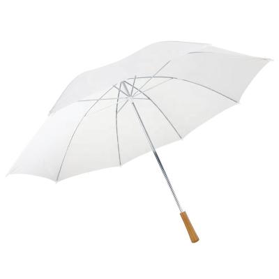 China 28 inch minimalist manual open wooden handle straight umbrella for promotion for sale