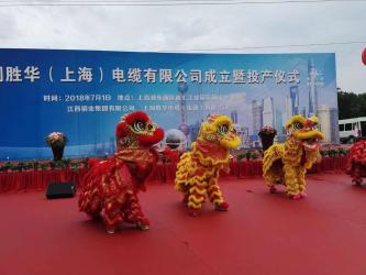 Китай Shanghai Shenghua Cable (Group) Co., Ltd.