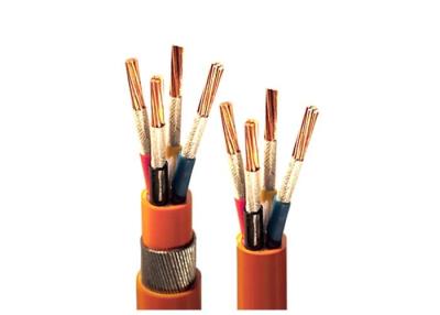 China CU / XLPE / PVC 0.6 / 1kV Flame Retardant Cable / Flame Resistant Cable for sale