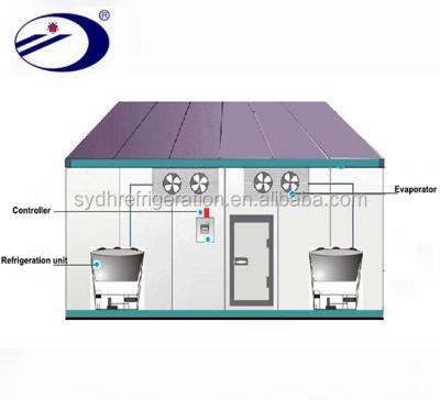 China 304stainless steel or color cold room 0~5 steel fruits and vegetables and meat -35~-18 and fish frozen cold room for sale