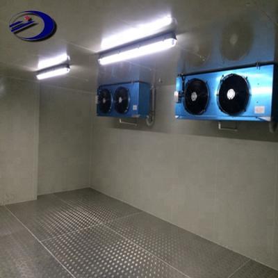 China Freezer Storage Walk In Cold Room Container Meat Freezer Fruit Cold Room for sale