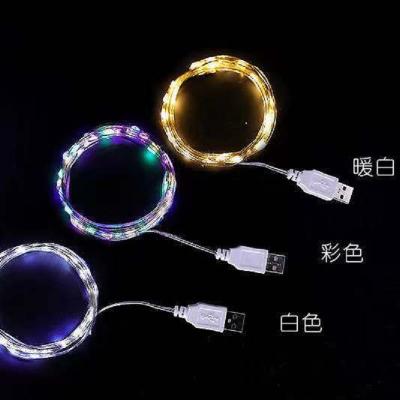 China 1M10LED Led Lights USB Copper Wire String Wholesale Led Lights String Birthday Gift Bouquet Decoration Charging Bao Colored Lights for sale