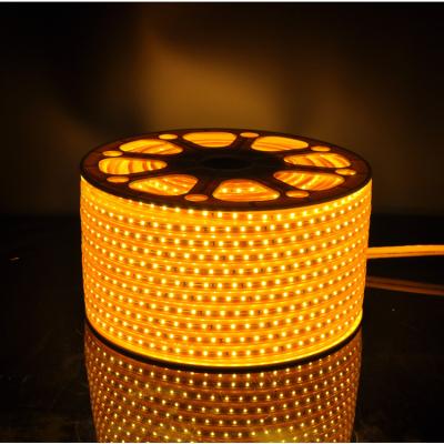 China Durable High Brightness IP65 LED Strips Light CRI80 SMD2835 8mm Flexible Strip Light Ac220V For Outdoor for sale