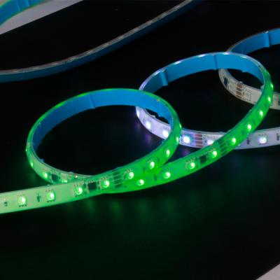 China Indoor Home Customized IP20 10mm 12V/24V Led Strip Lights 60D Flexible RGB Led Strip Light 5050 For Indoor for sale