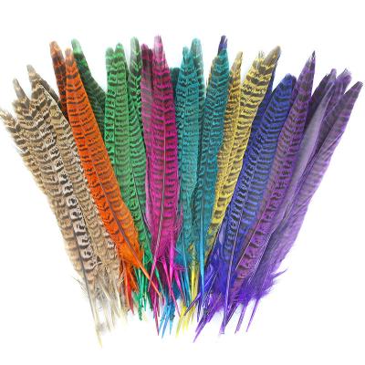 China Featival Decoration Headdress Garment Decoration 18-25cm 10/1 Lot Ringneck Pheasant Feather Props DIY Stage Show Decoration Craft Materials for sale