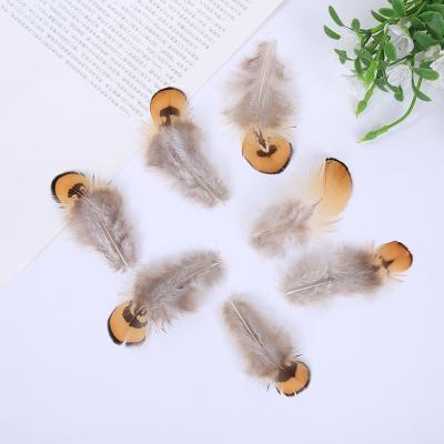 China Yellow Feather Accessories 4-8cm DIY High Quality Natural Chicken Feather Clothing Featival Decoration Feather Accessories for sale