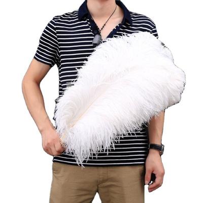 China Factory Wholesale Wedding Party Photography Background Backdrop White And Dyed Cheap Ostrich Feathers 15-80cm For Carnival Decoration Sale And Wedding Photography for sale