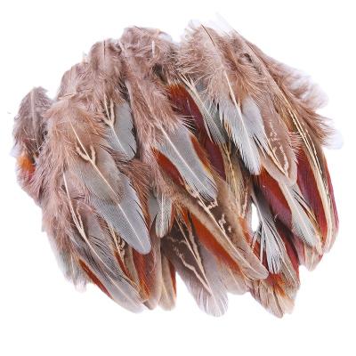 China Sells 4-8cm Best Price Natural Chicken Feather DIY Handwork High Quality Accessories Feather Clothing Featival Decoration Manufacturer for sale