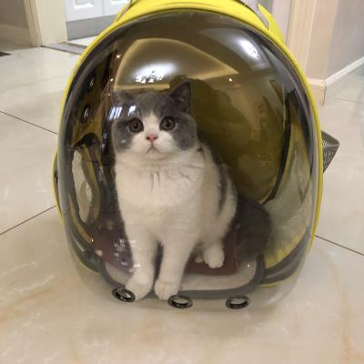 China Viable Pet Bag Cages Clear Carrier Space Capsule Bubble Backpack For Cats And Puppies Designed Travel Pet Cat House Cages for sale