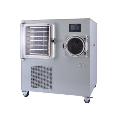 China food & Beverage Plant Vacuum Freeze Dryer /Freeze Drying Equipment For Milk Power Processing for sale