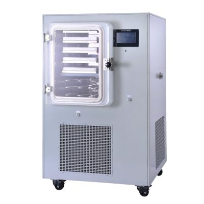 China food & Beverage Plant Plant Vacuum Freeze Dryer In Dried Fruit And Vegetables Processing for sale