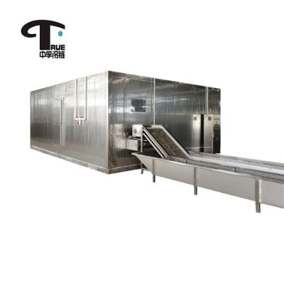 China Frozen Food Machine IQF Brine Double Plate Belt Blast Tunnel Freezer Price for sale