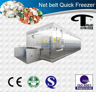 China Factory net tunnel freezer/1000kg/h belt iqf freezing tunnels for sale