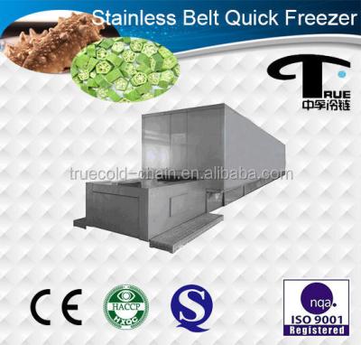 China 1700kg/hour best price and economical iqf TBFD1700 freezing tunnels for sale