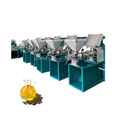 China Factory Good Quality Coffee Cocoa Bean Extraction Machine Camellia Oil Press for sale