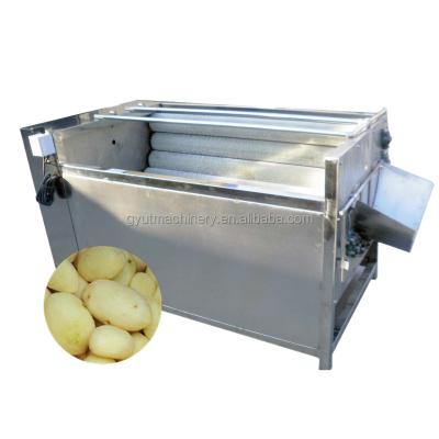 China Easy operation stainless steel commercial fresh radish/carrot/potato washing machine for sale for sale