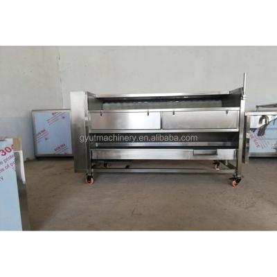 China Industrial Cleaning Brush Taro Potato Washing Peeling Machine Easy Operation Sweet Potato Machine for sale