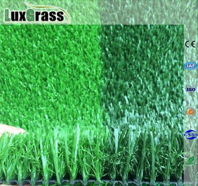 China Nonfill indoor and outdoor flammable football soccer field nonfill turf artificial grass for sale