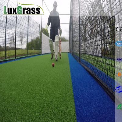 China Golf Field Rather High Density Turf Non Synthetic Grass For Cricket Pitch for sale