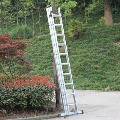 China Folding Ladders high quality multipurpose ladder folding ladder 3 section extension ladder for sale