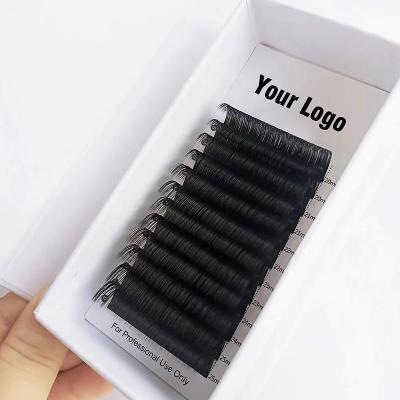 China Full Volume 2023 Lovely Private Label Mink Eyelashes Lashes Tray Russian Volume Eyelash Extension Extensions Professional Silk Black Custom for sale