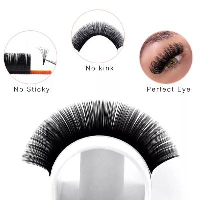 China Full Volume private label high quality Individual Eyelashes extensions Tray cashmere ellipse matte black flat classic lash extensions tray for sale