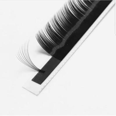 China Full Volume Eyelash Extension easy fans Wholesale Easy Fan Eyelash Extension Easy Fanning Silk Mink Volume Eye Lash Extension Trays for sale