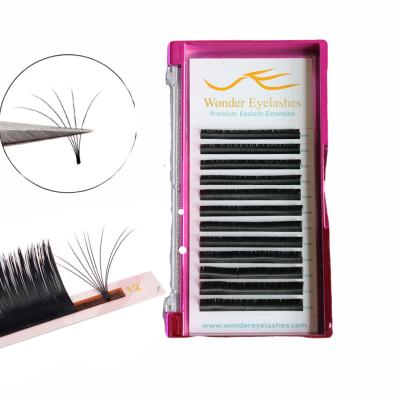 China Full Volume Wholesale Price Easy fan lash extensions easy fan private label 0.05 0.07 blooming lashes Eyelash Extension easy fan for sale