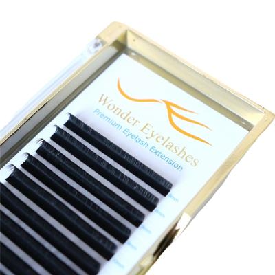 China Natural Long 16lines Easy Fans Eyelash C CC D DD J B L 0.05mm 0.07 mm can customize your own logo Easy Fans Eyelash extension for sale