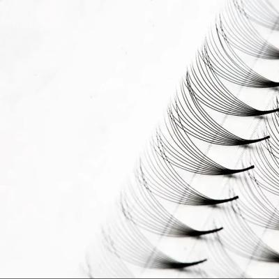 China Natural Long 10D Handmade Volume Fans Eyelashes Suppliers Premade Fans eyelash extensions for sale