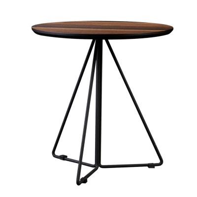 China E1 Grade Modern Modern Hdf With Eucalyptus Veneer Living Room Carbon Steel Frame Leg Side Table for sale