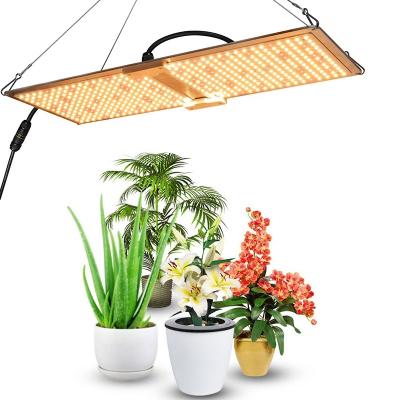 China Seed Starting Made In China Lamp Full Spectrum 1000W LED Grow Light For Indoor Plants Vegetable And Flower for sale