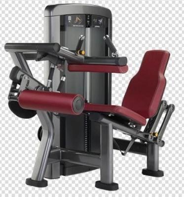 China Fitness Center Fashion Style Sitting Thigh Curl And Extension Trainer Apparatus for sale